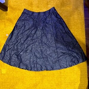 Fashionable Blue Skirt.